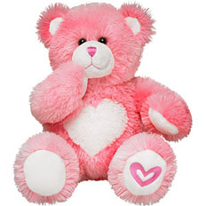 lovely teddy 