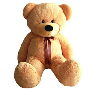 cute teddy
