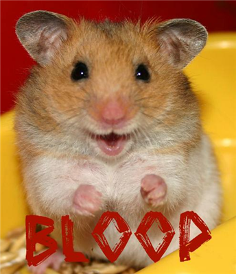 Hamster Bloop