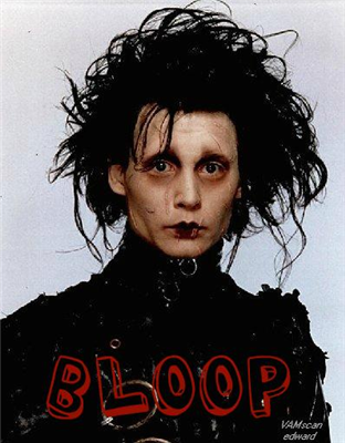 Edward Bloop