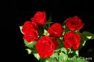 Romantic Gifter