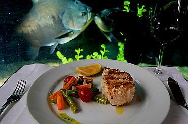 Amazonian Dish