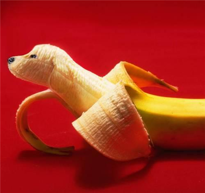 Banana Dog