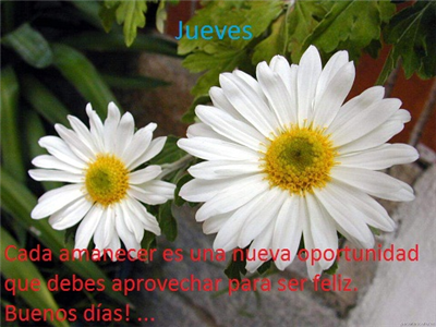 Feliz jueves