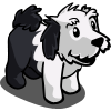 Sheep Dog Puppy