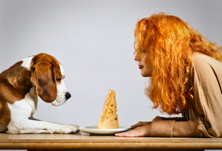 Ce Animal Ti Se Potriveste?