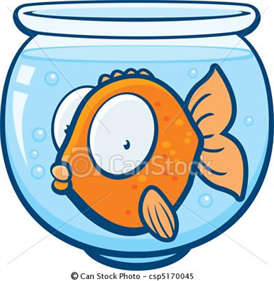 goldfish