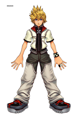 roxas(gak hoki)