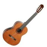 acustica 2