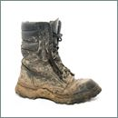 Shoe