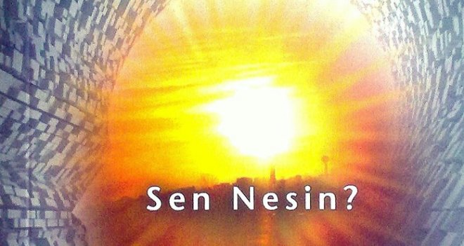 Sen Nesin ?
