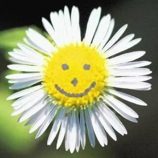 sorriso floreale