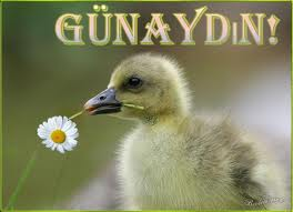 Günaydın