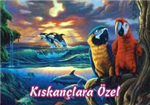 Aşkıma