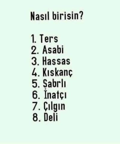 Nasıl Birisin?