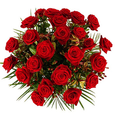 Roses