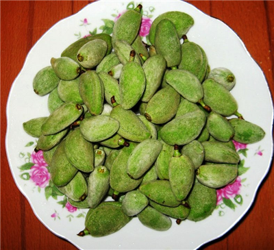 Çağla badem