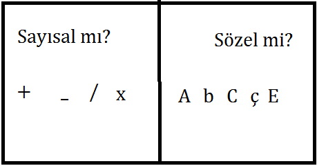 Sayısal Mısın? Sözel Mi?