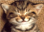 Envoyez Des Sourires A Vos Amis :)