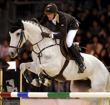 Quel Niveau As-Tu En Équitation?