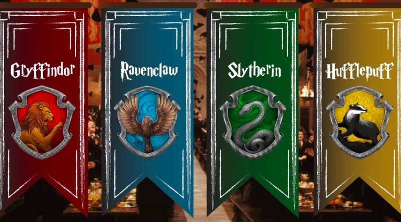Hangi Hogwarts Binasındasın? 