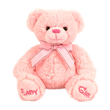 Teddy