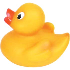 a rubber duck
