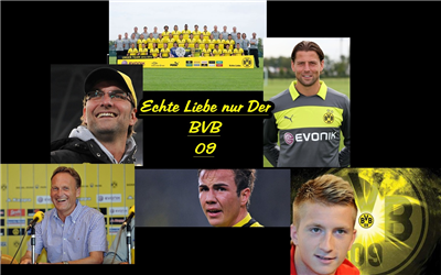 BVB09
