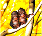 Offre Un Sourire