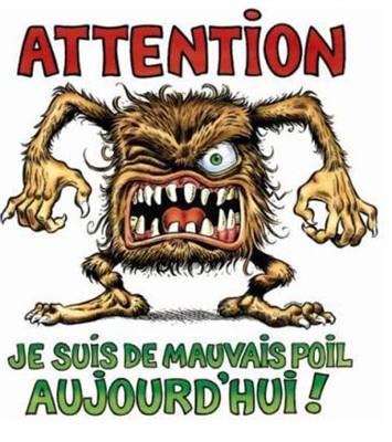 Je suis de mauvais poil aujourd'hui !