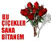 Güller