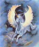 Magical World Of Unicorns