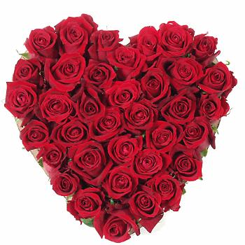 Plutôt Amoureux(Se) Ou Coeur Libre ?? <3<3<3<3<3<3