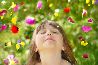 de belles fleurs