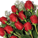 roses rouges