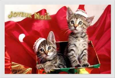 Joyeux Noël et bonne année