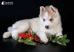 thinking of u