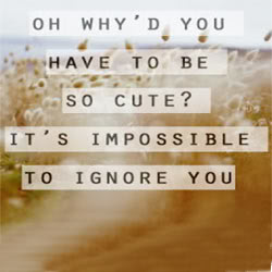 So Cute