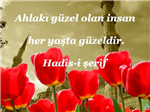 Hergün Bir Hadis-İ Şerif