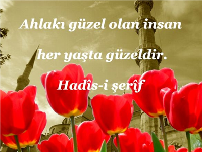 (TAHA/132)