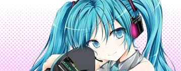 Otaku nivel medio