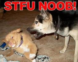 Are You A Halo Noob?