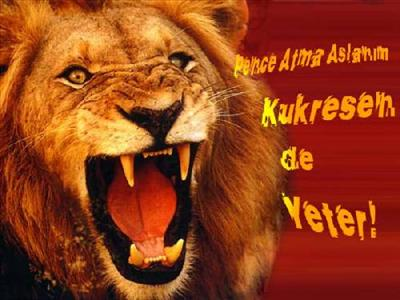 Aslan Mı  Kanaryamı