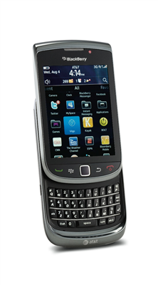 Blackberry torch