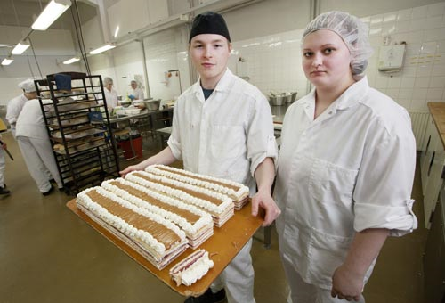 Vastakkaisen Sukupuolen Ammatti
