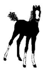 ღ Pony Gift ღ