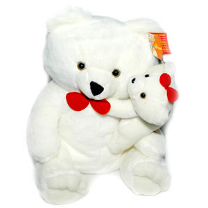 Teddy 
