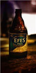 Bira Hediye Etmek İstermisin?