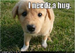Puppy Gift!
