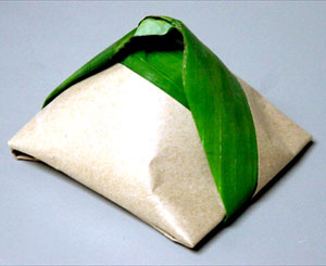 Nasi Bungkus